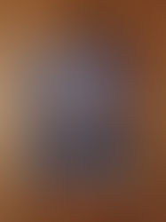 De springedinges van Kathleen Doherty