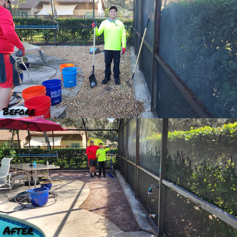 Before & After a patio cleanout