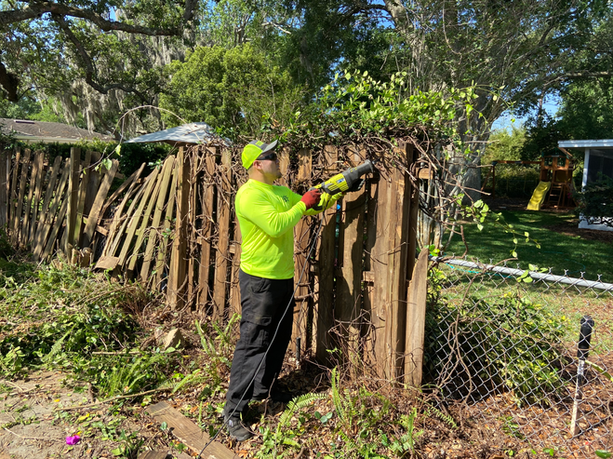 Fence getting removed by the Goodbye Junk team.