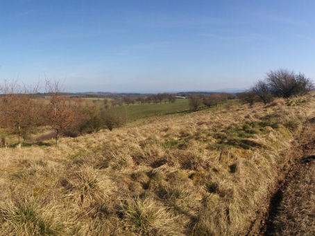 No is a Full Sentence (and Other Boundary Truths We Keep Forgetting)