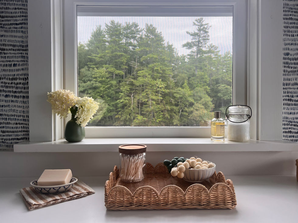 LakesidePriamaryBathVanityScene