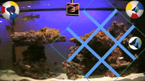 rotogif.gif