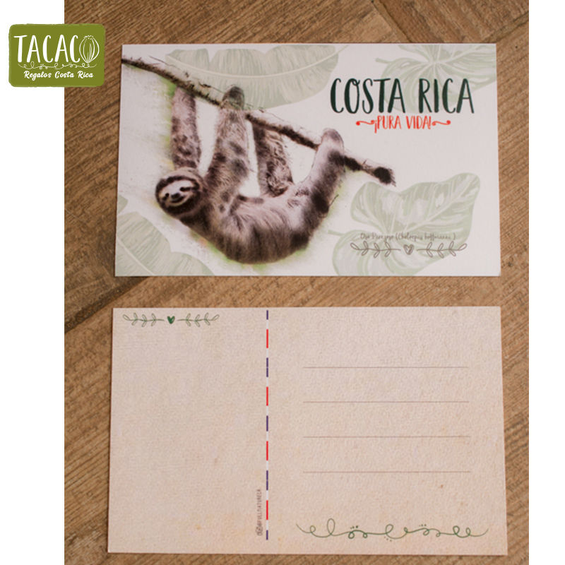 Miniatura: 6 Tarjetas Postales Ilustrada Oso Perezoso