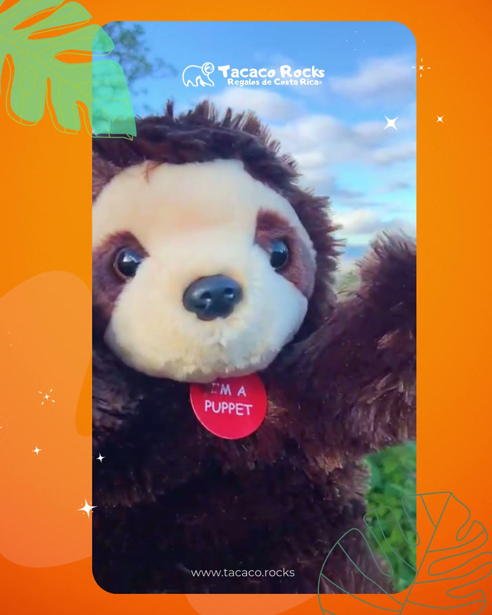 Miniatura: video de marioneta, títere de peluche oso perezoso de frente