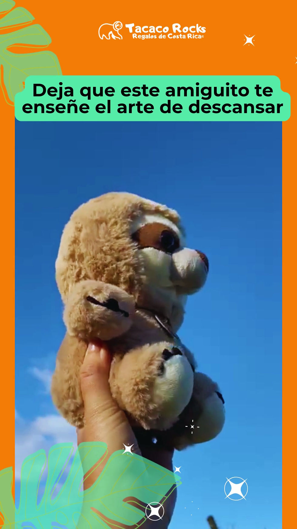 Miniatura: video peluche tierno de oso perezoso