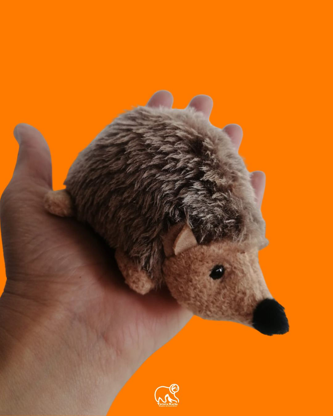 Erizo de Peluche- puercoespín