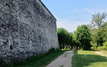 IMG20230623113023.jpg