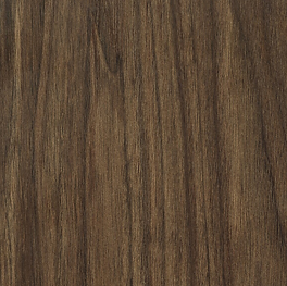 Screenshot 2025-05-05 1Org Home Color Interlochen50155.png
