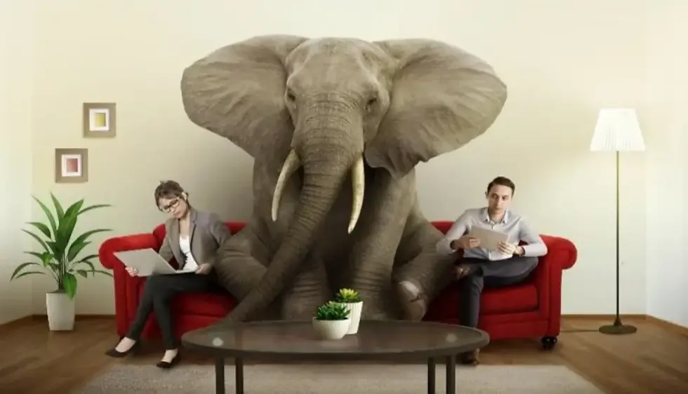 O elefante na sala. Imagem do Google