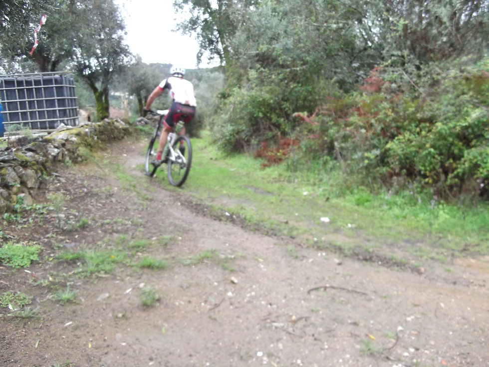 DSCF4534.JPG