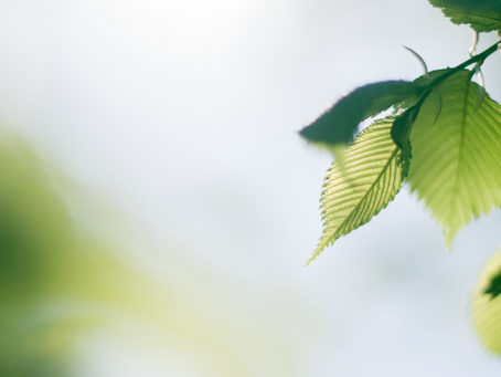 The Sun, the Sky, and Me : 8 Years of Change Through Meditation