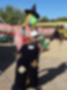 2014 Scarecrow Contest-Unique Category- Crazy Cranfester - LaGrange Tunnel Lights 4-H-Toma