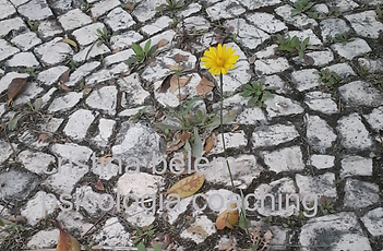 Cristina-Belem_psicologia-e-coaching_1.p