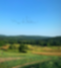 a5f9c88d-9cbd-48b2-9706-18f48f10e8e4_edited.jpg