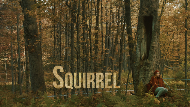 Squirrel