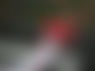 Estrogen used to run the show, your brain’s MVP, calling all the plays. But during perimenopause and menopause? She starts benching herself, and suddenly brain fog takes the field. If you’ve been dropping the mental ball lately, this one’s for you.