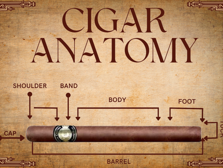 The Anatomy of a Cigar: Unveiling the Mysteries of this Timeless Luxury