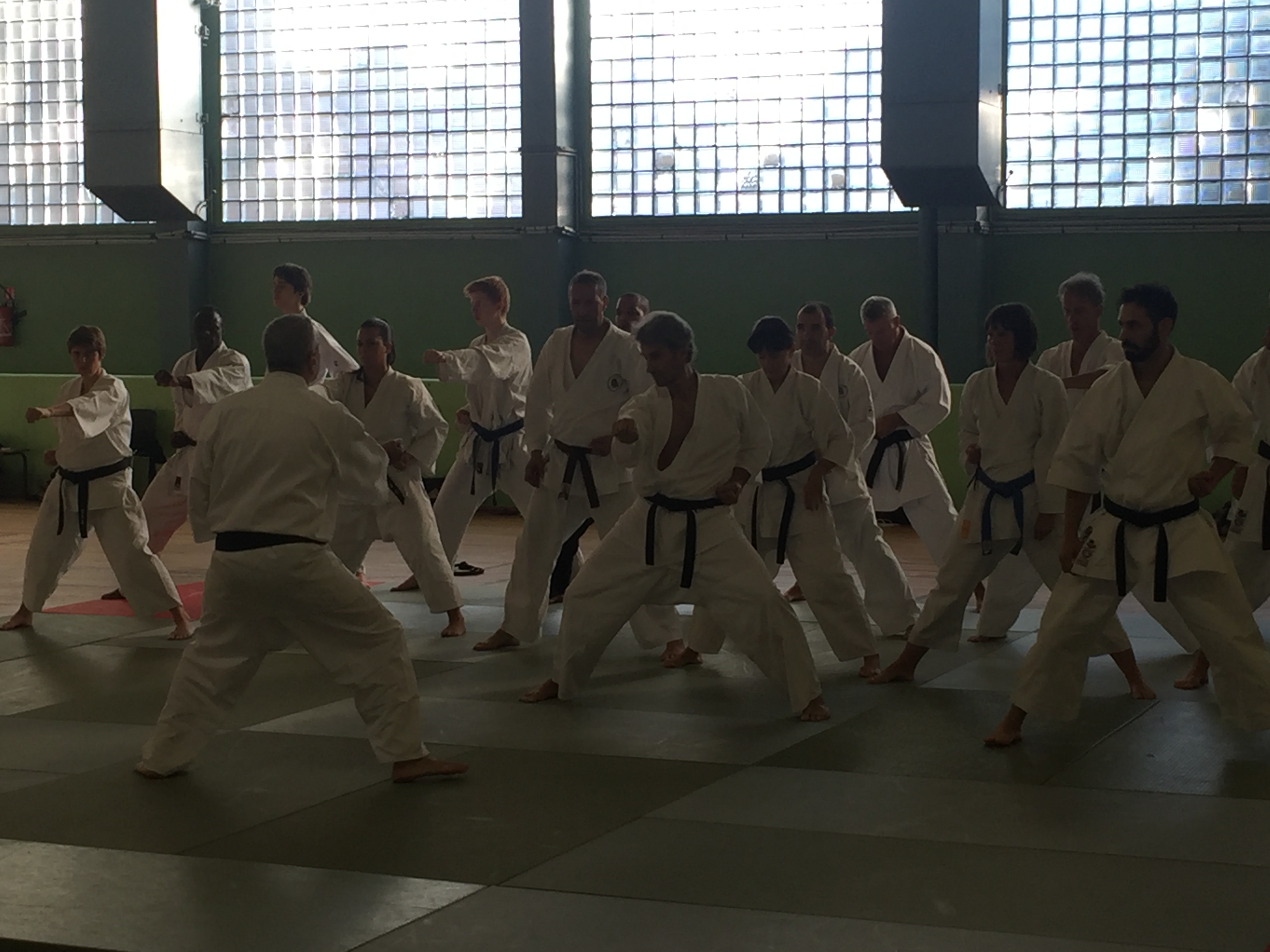 SIM PARIS 2018 (22)