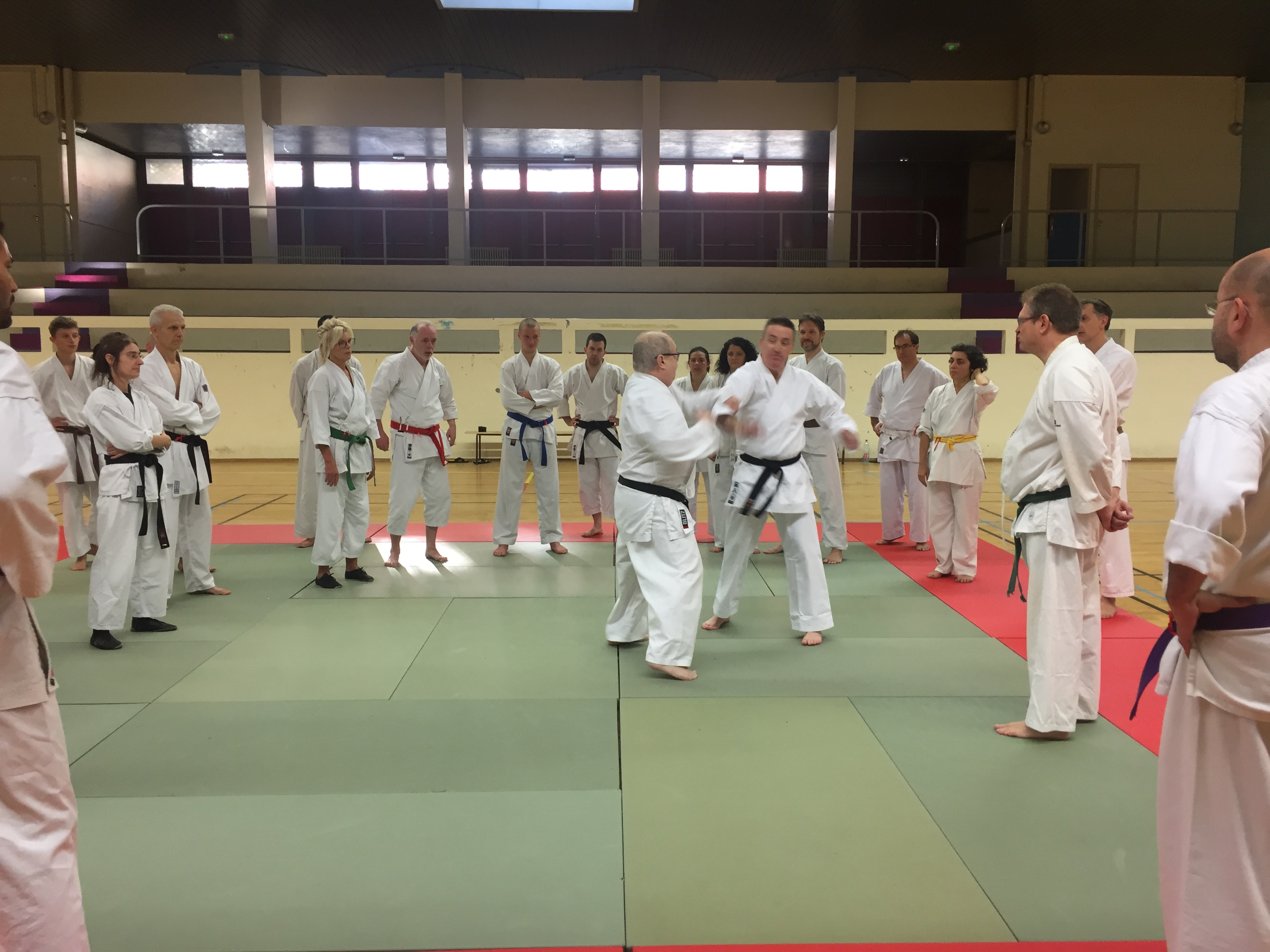SIM PARIS 2018 (52)