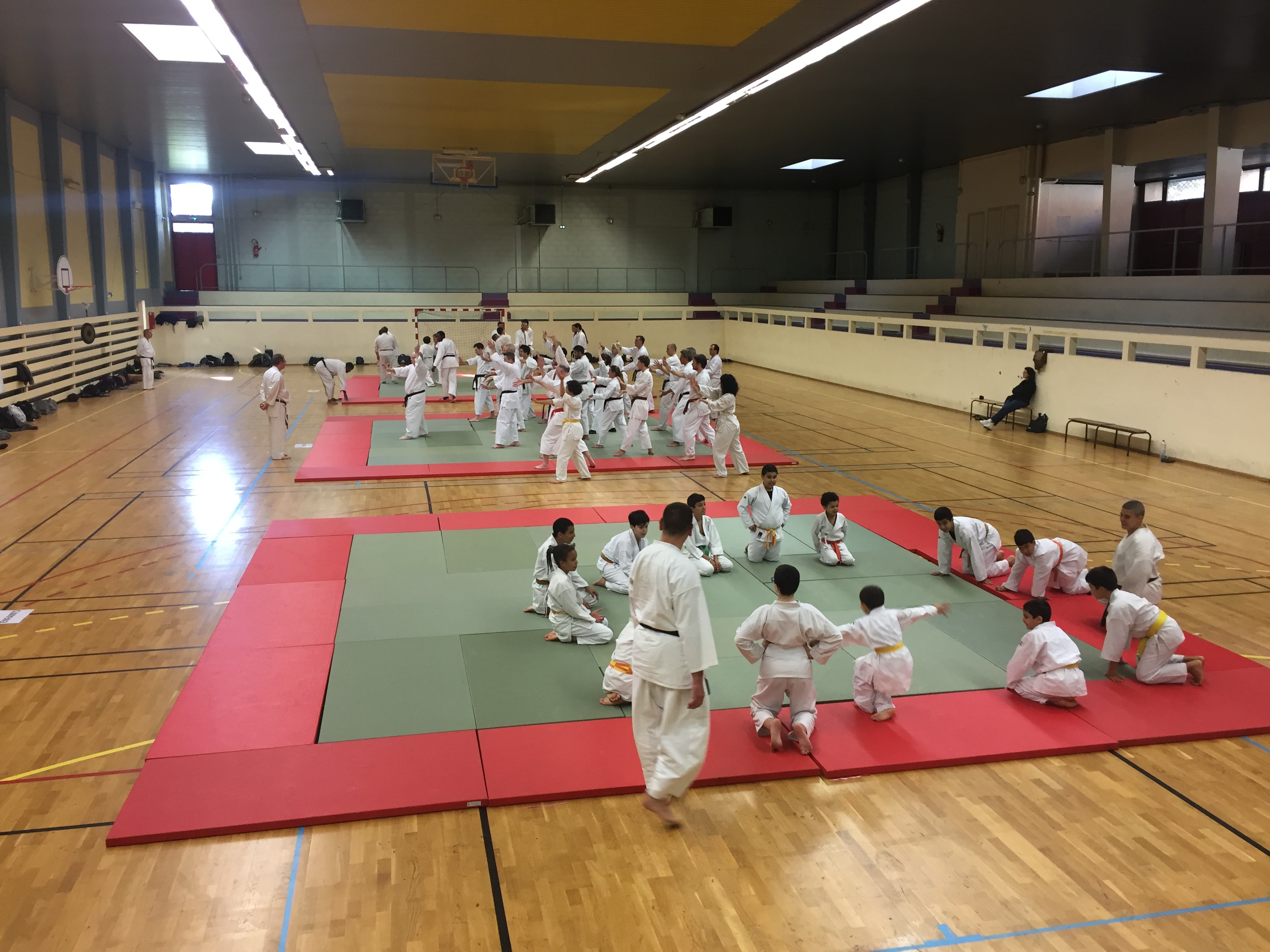 SIM PARIS 2018 (71)