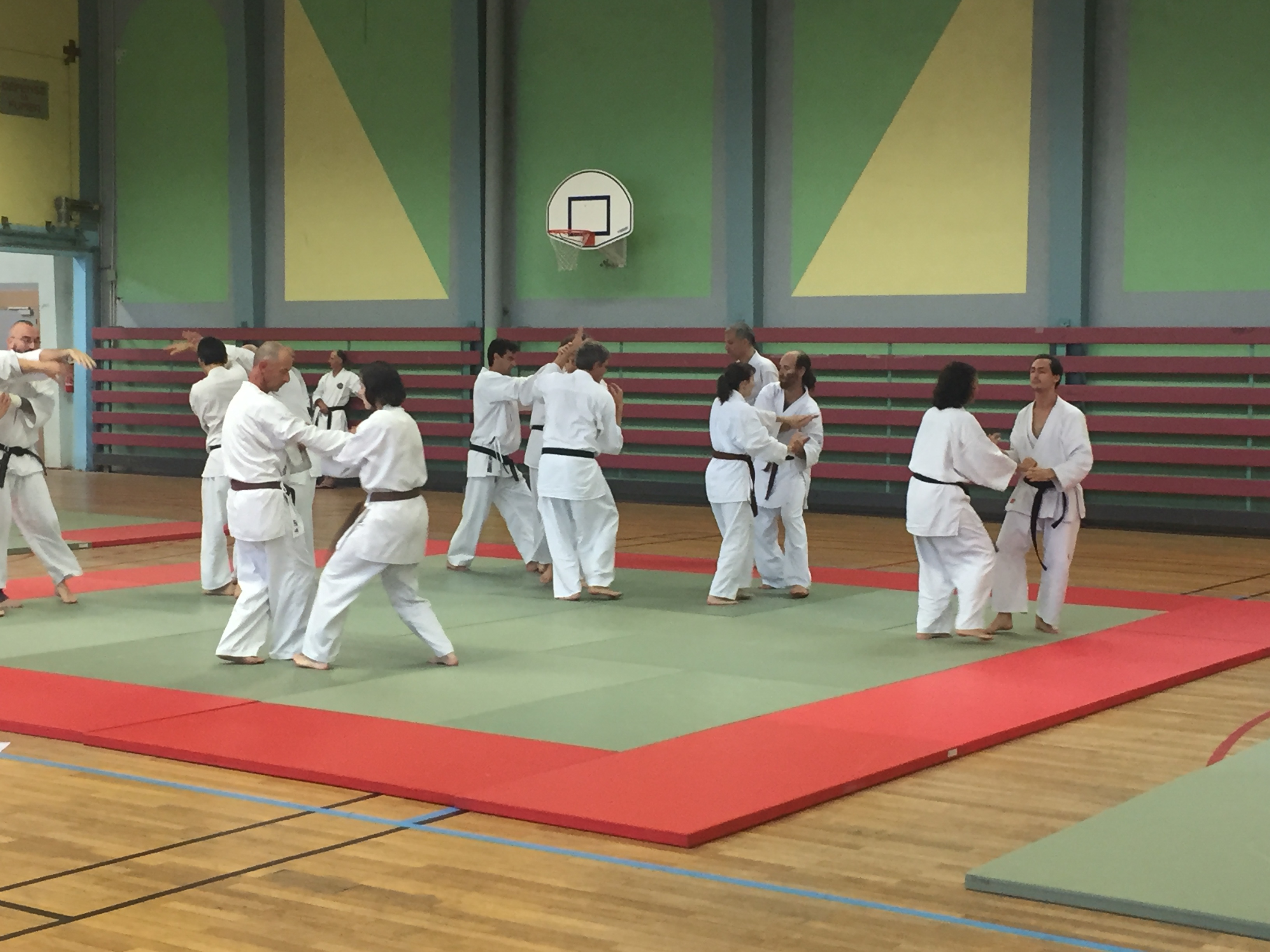 SIM PARIS 2018 (165)