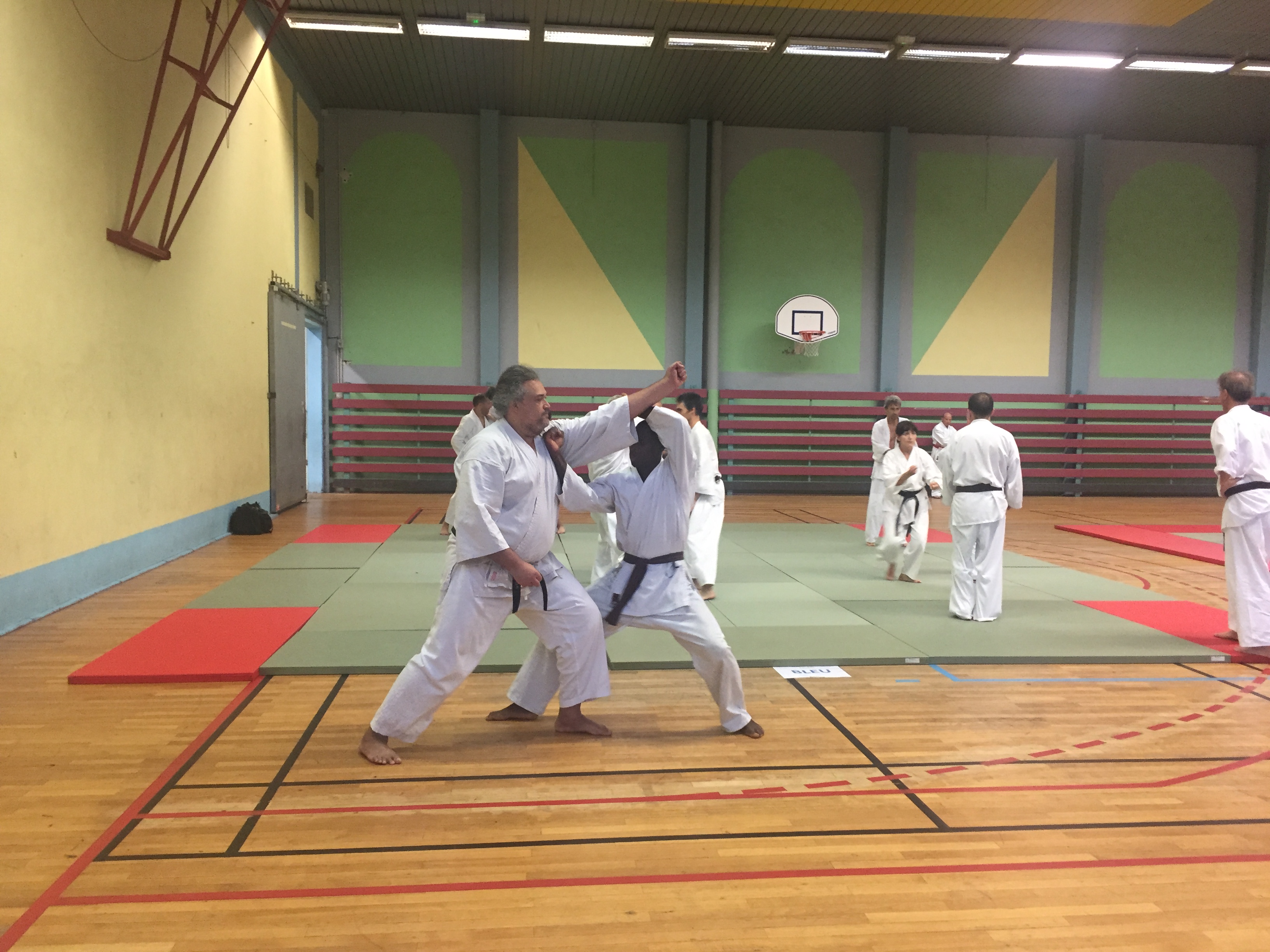 SIM PARIS 2018 (154)