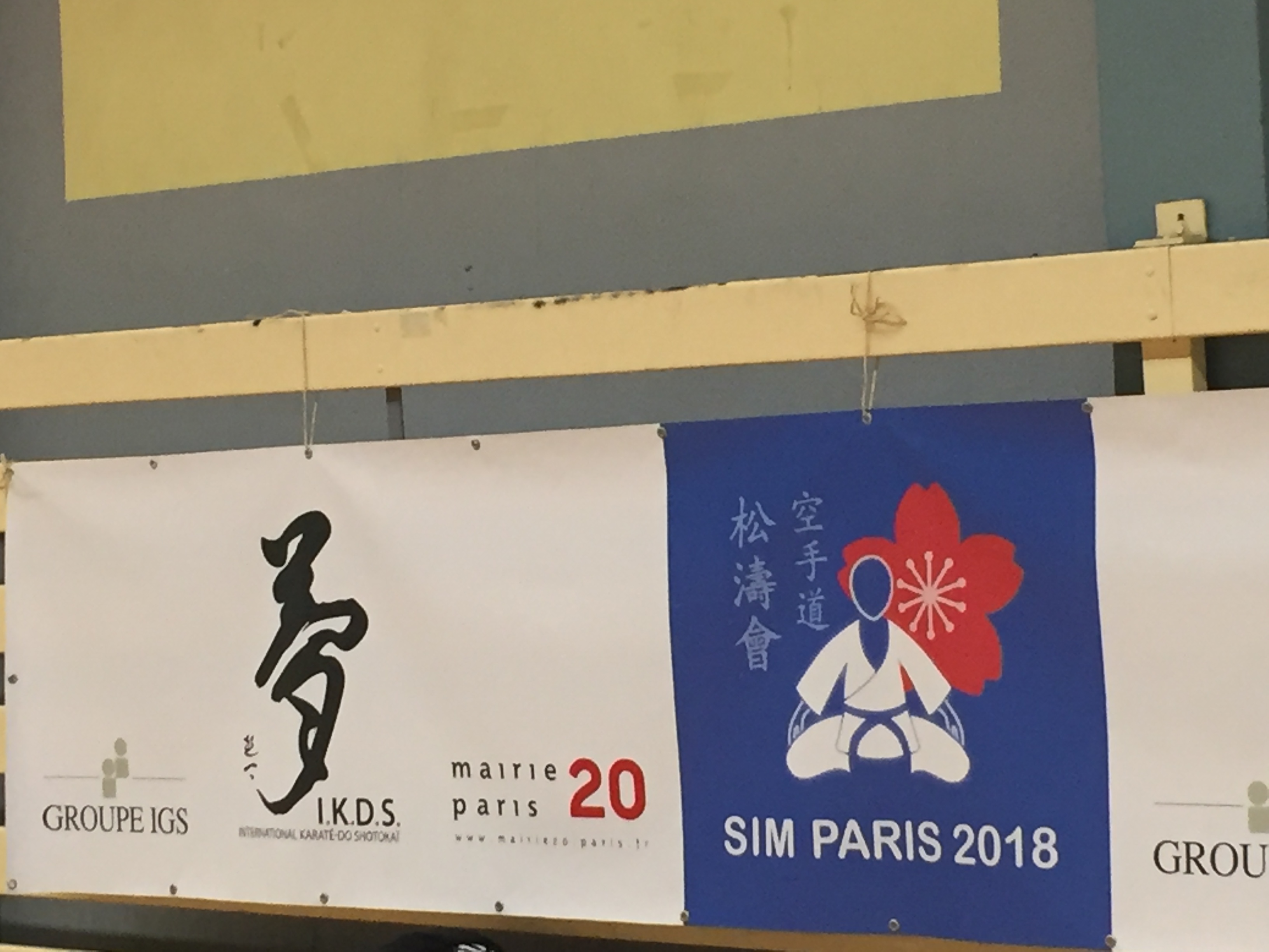 SIM PARIS 2018 (97)