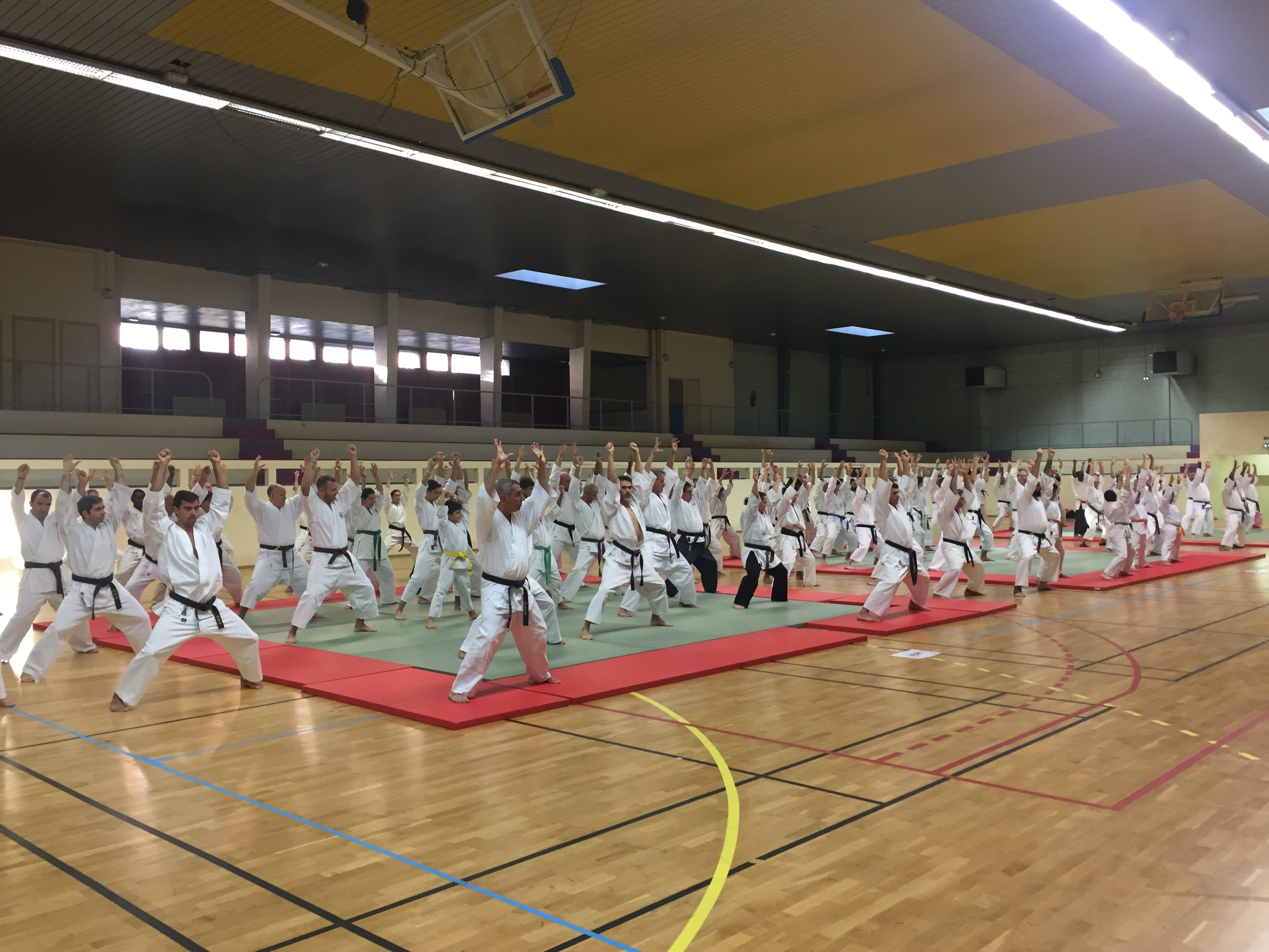 SIM PARIS 2018 (16)
