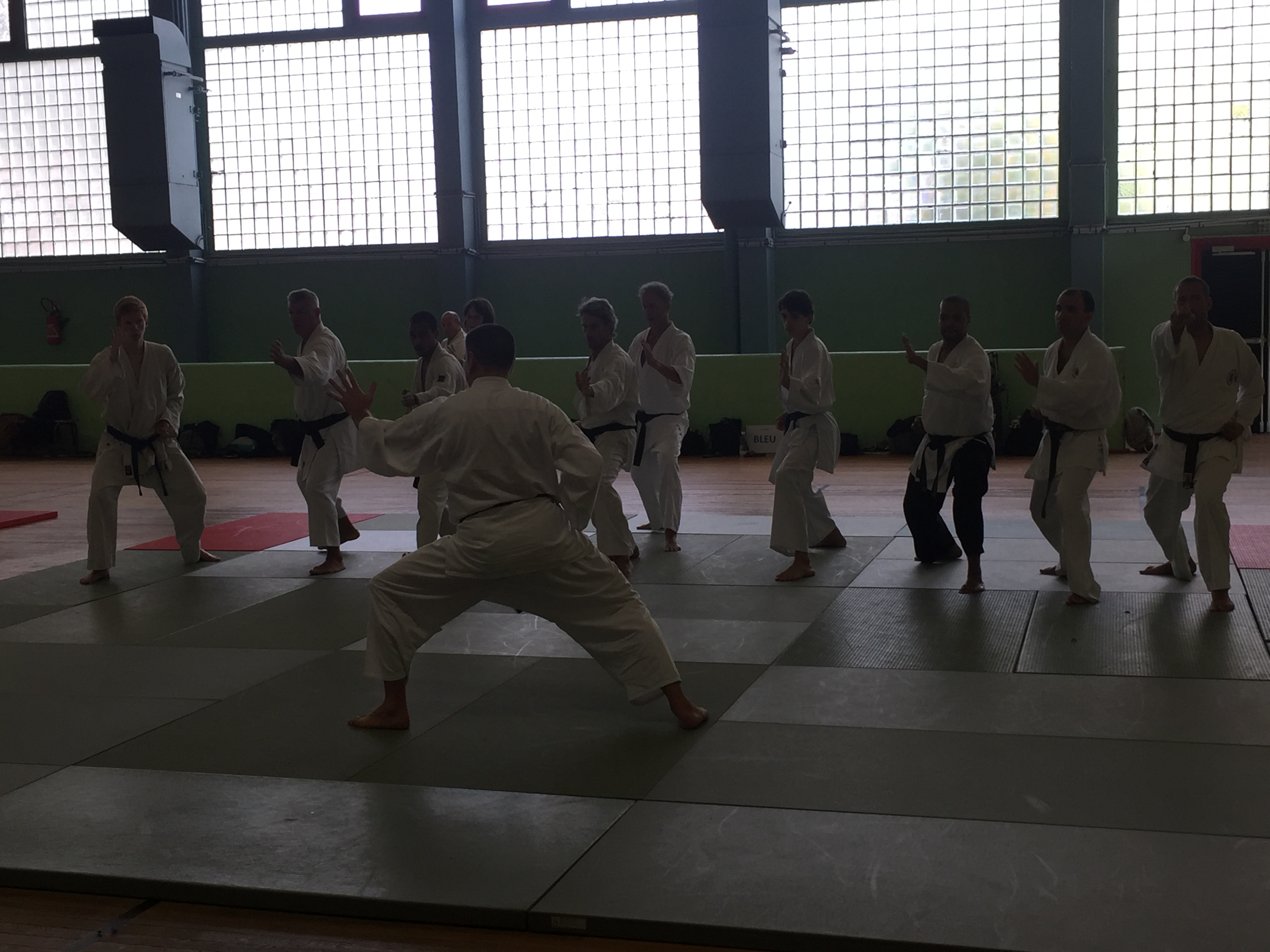 SIM PARIS 2018 (98)