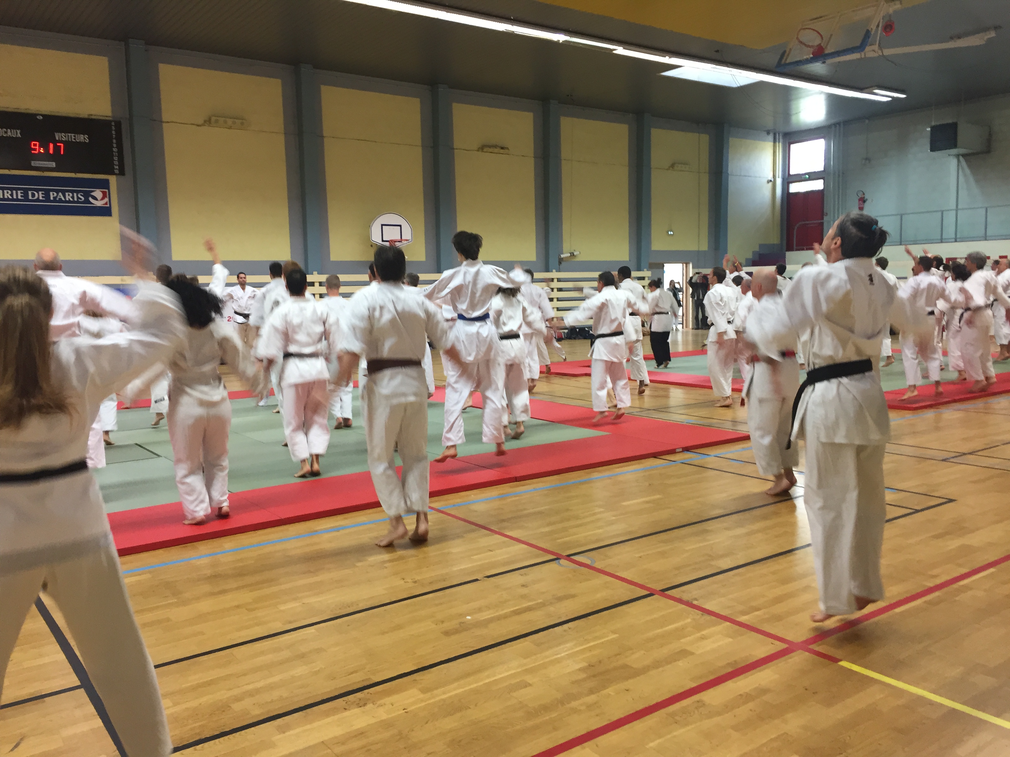 SIM PARIS 2018 (14)
