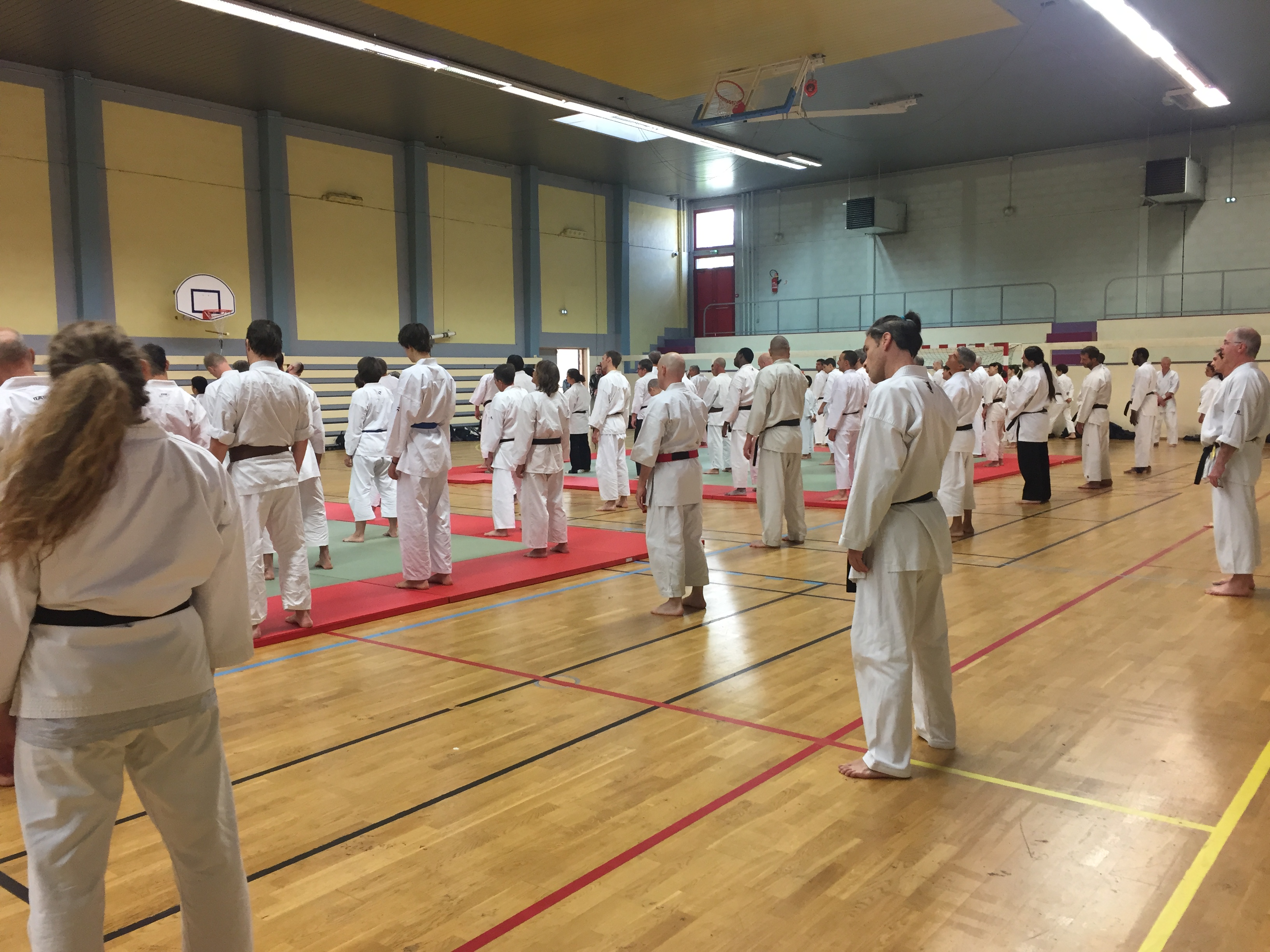 SIM PARIS 2018 (15)