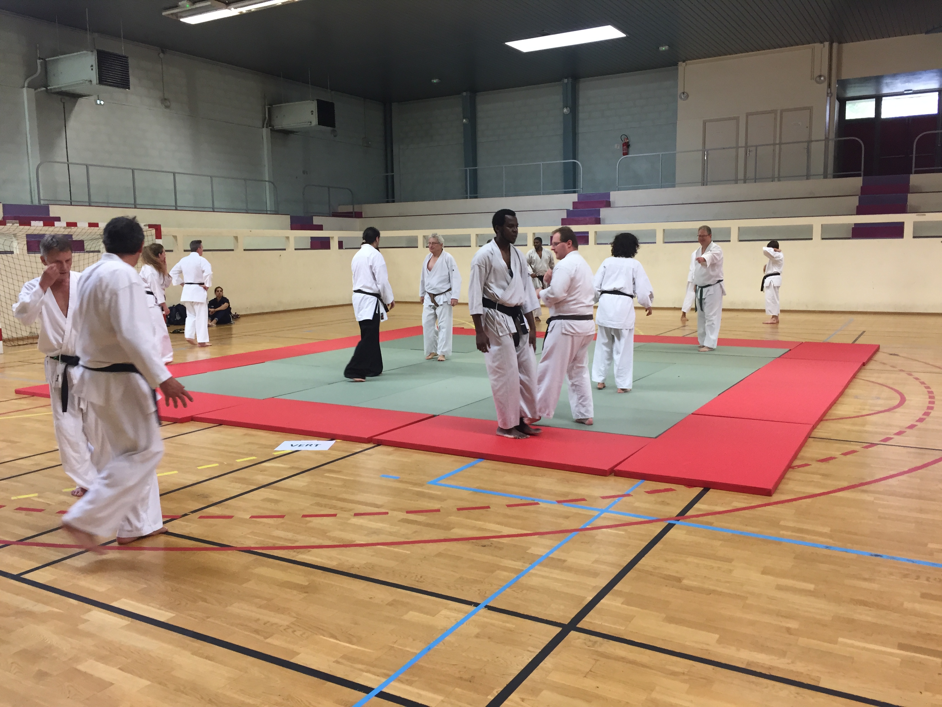 SIM PARIS 2018 (108)