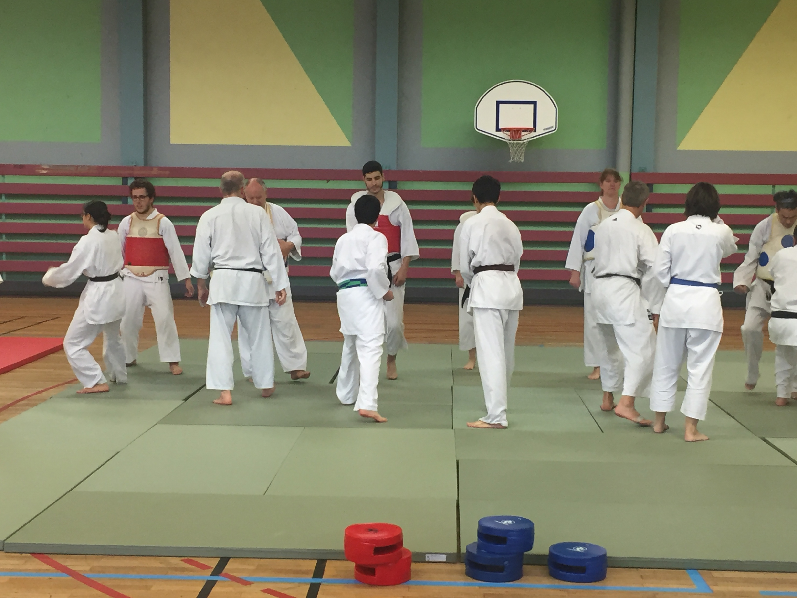 SIM PARIS 2018 (164)