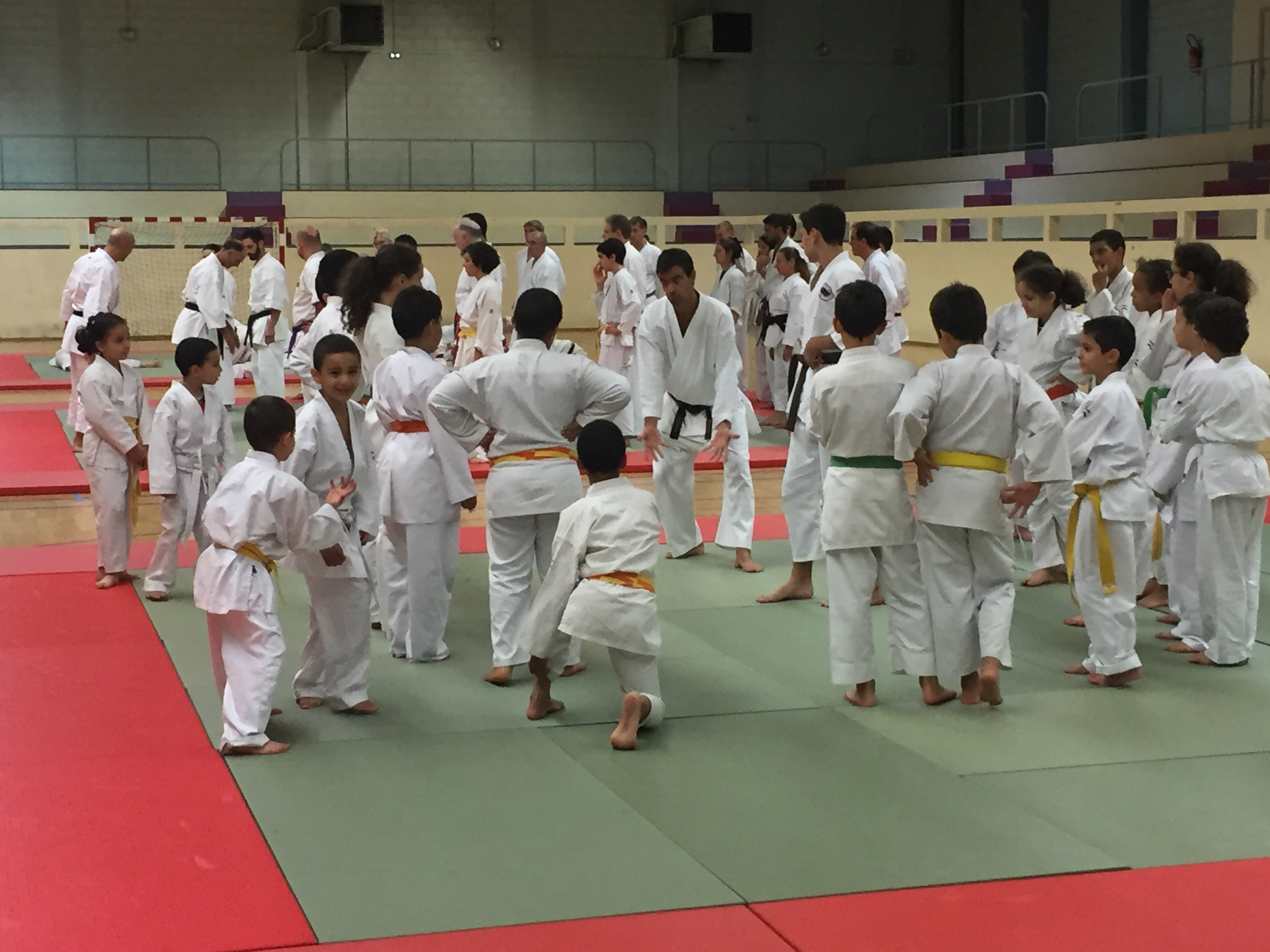 SIM PARIS 2018 (85)