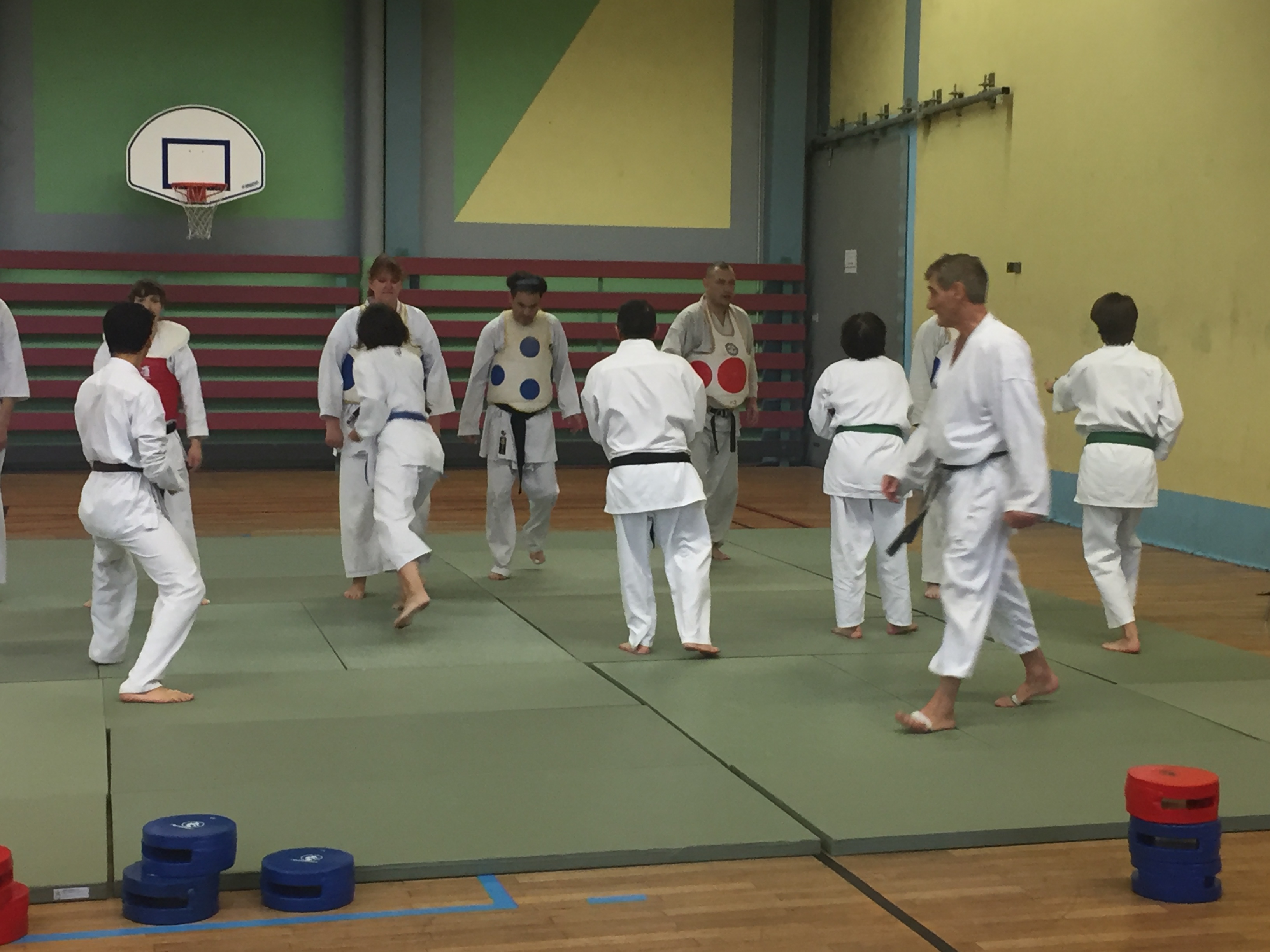 SIM PARIS 2018 (162)