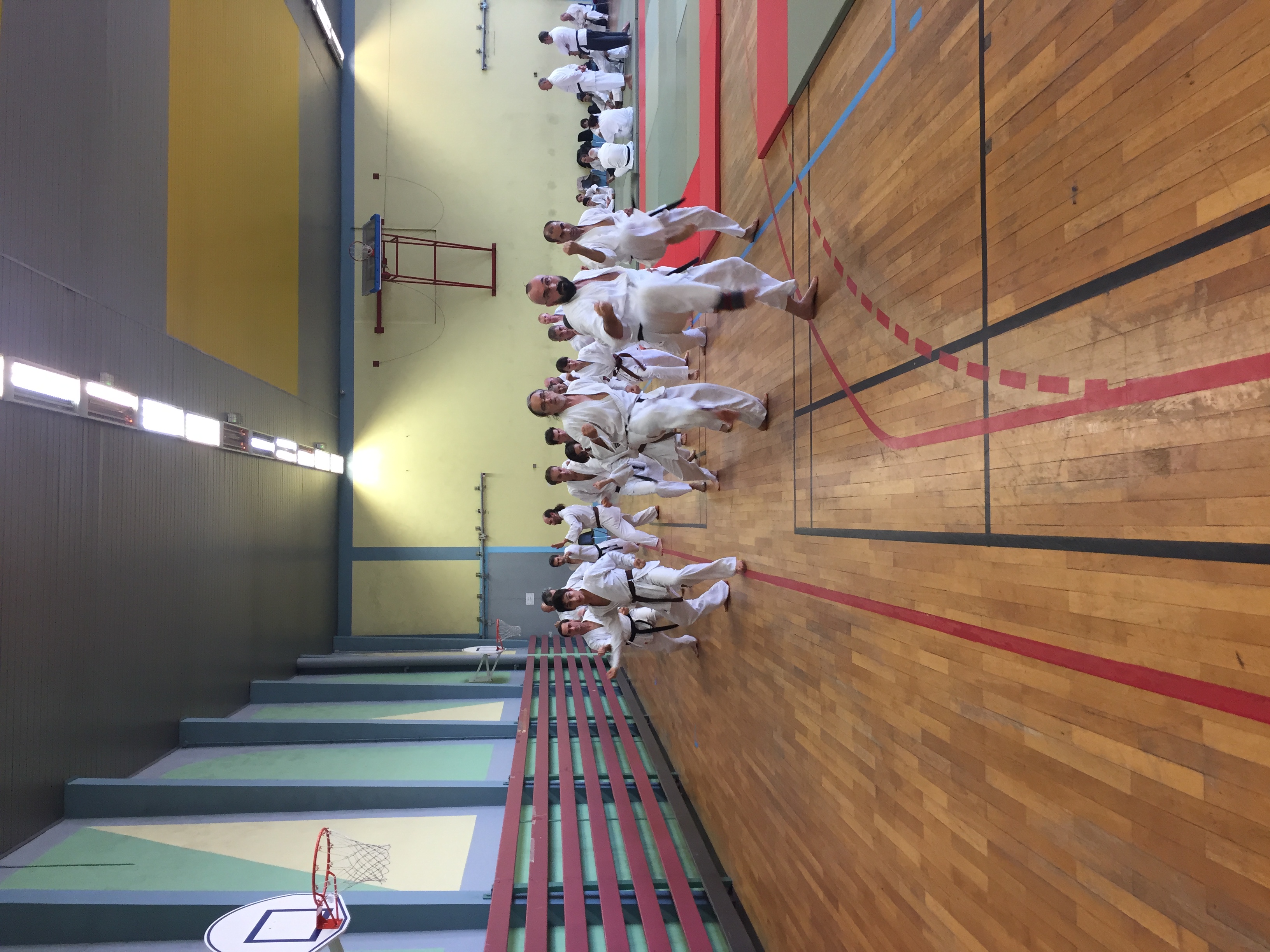 SIM PARIS 2018 (110)