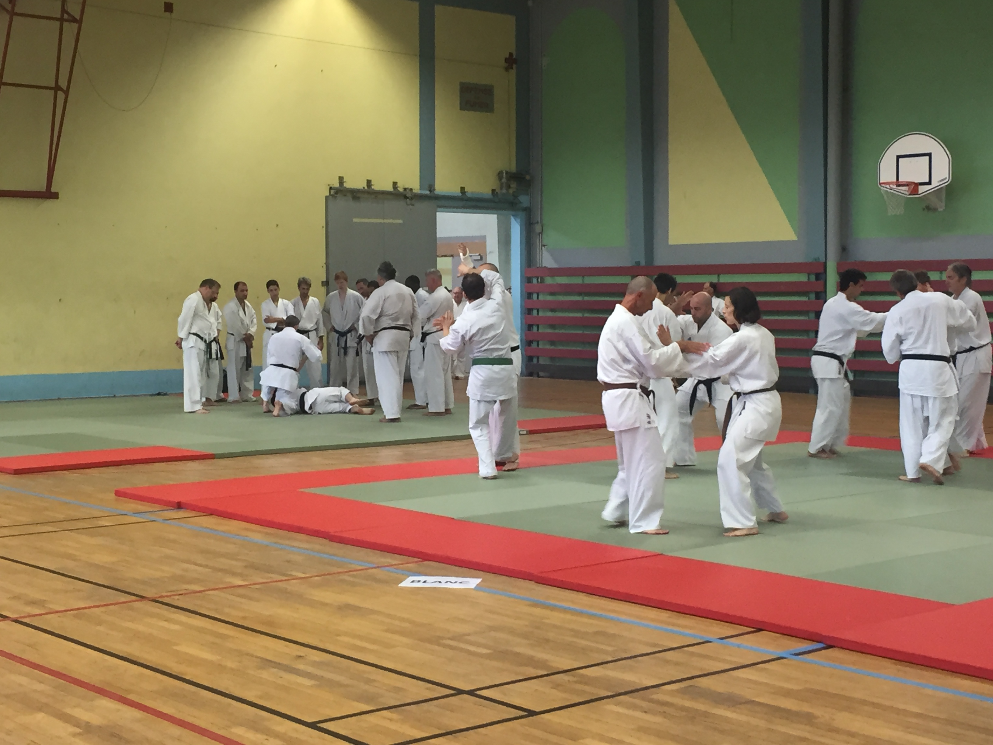 SIM PARIS 2018 (166)