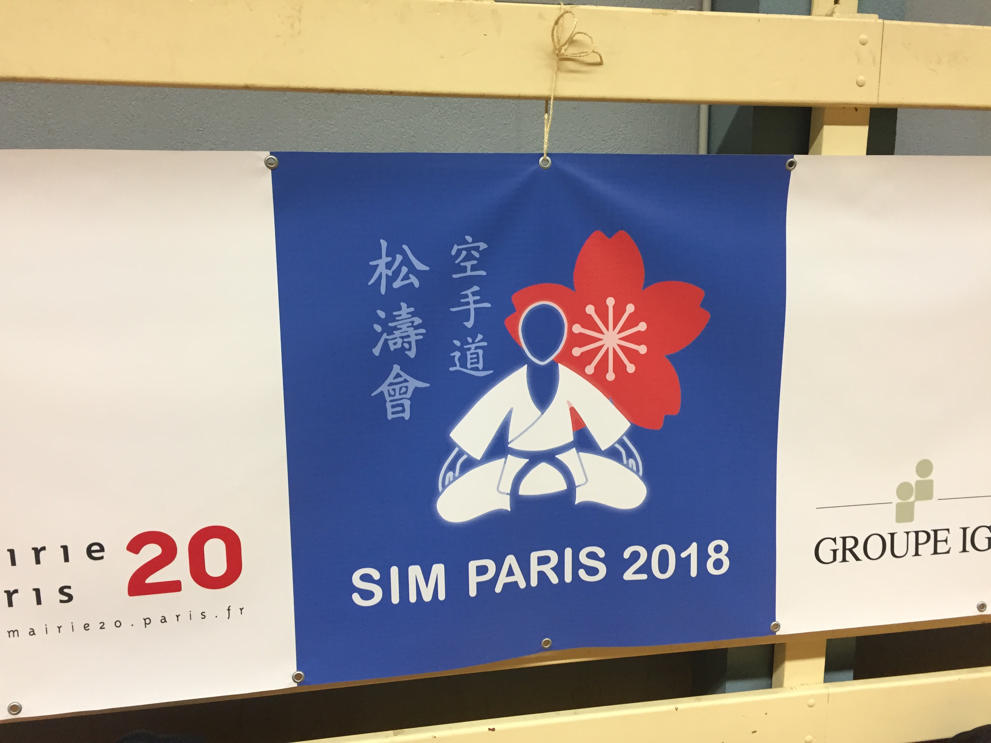 SIM PARIS 2018 (142)