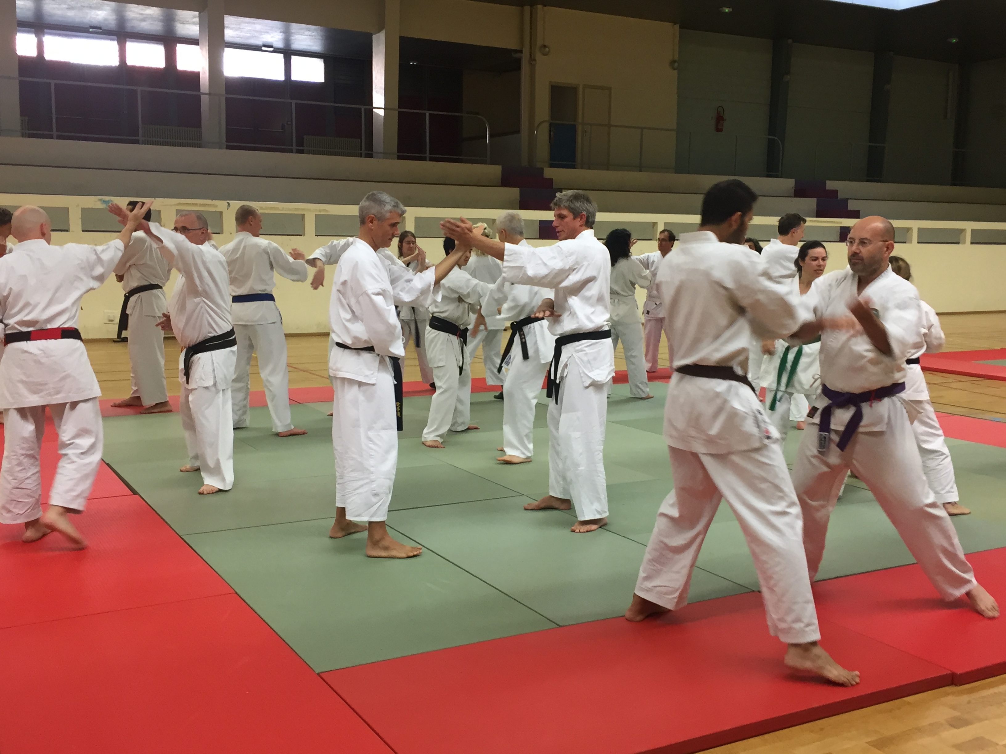 SIM PARIS 2018 (41)