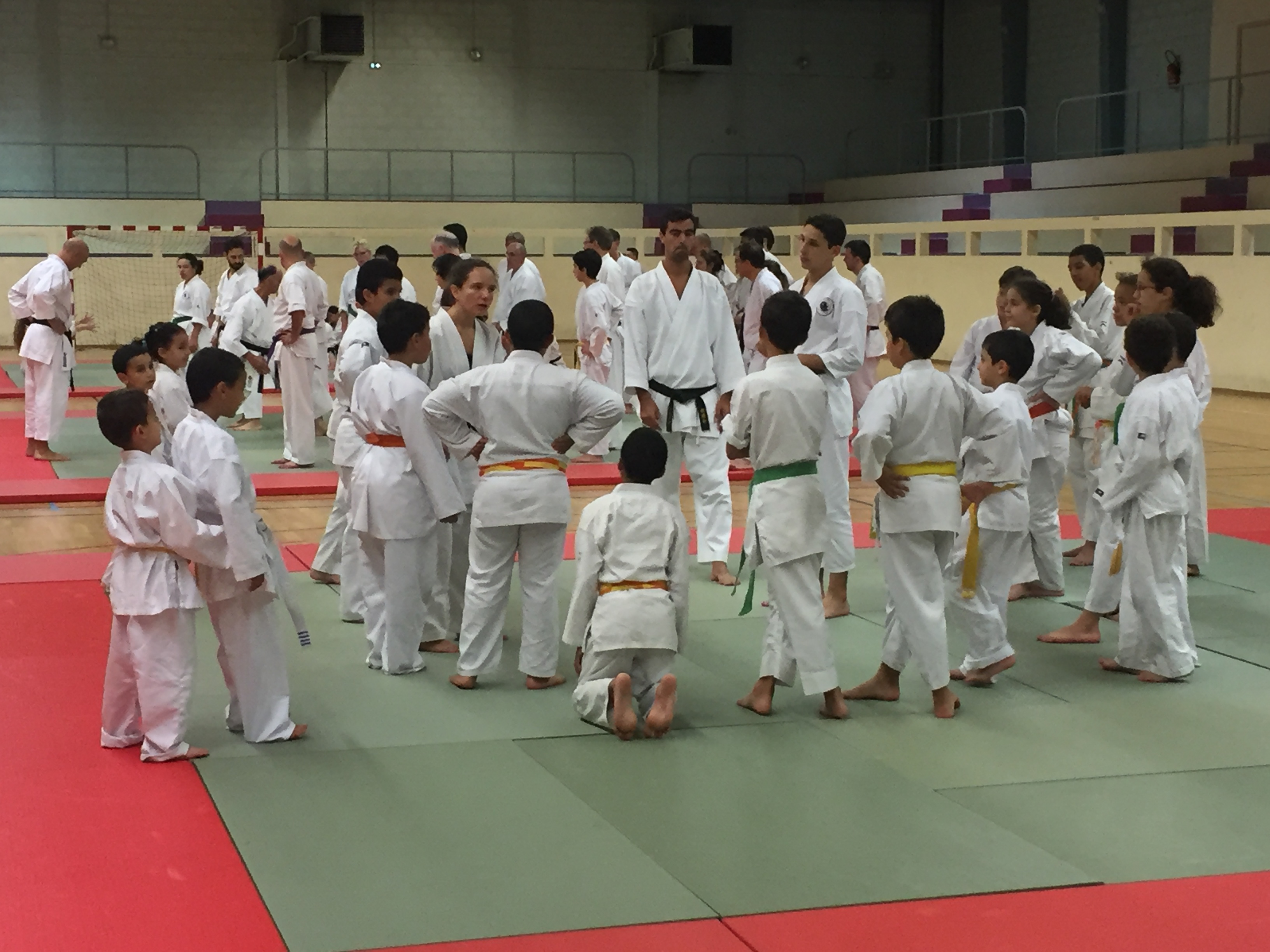 SIM PARIS 2018 (86)