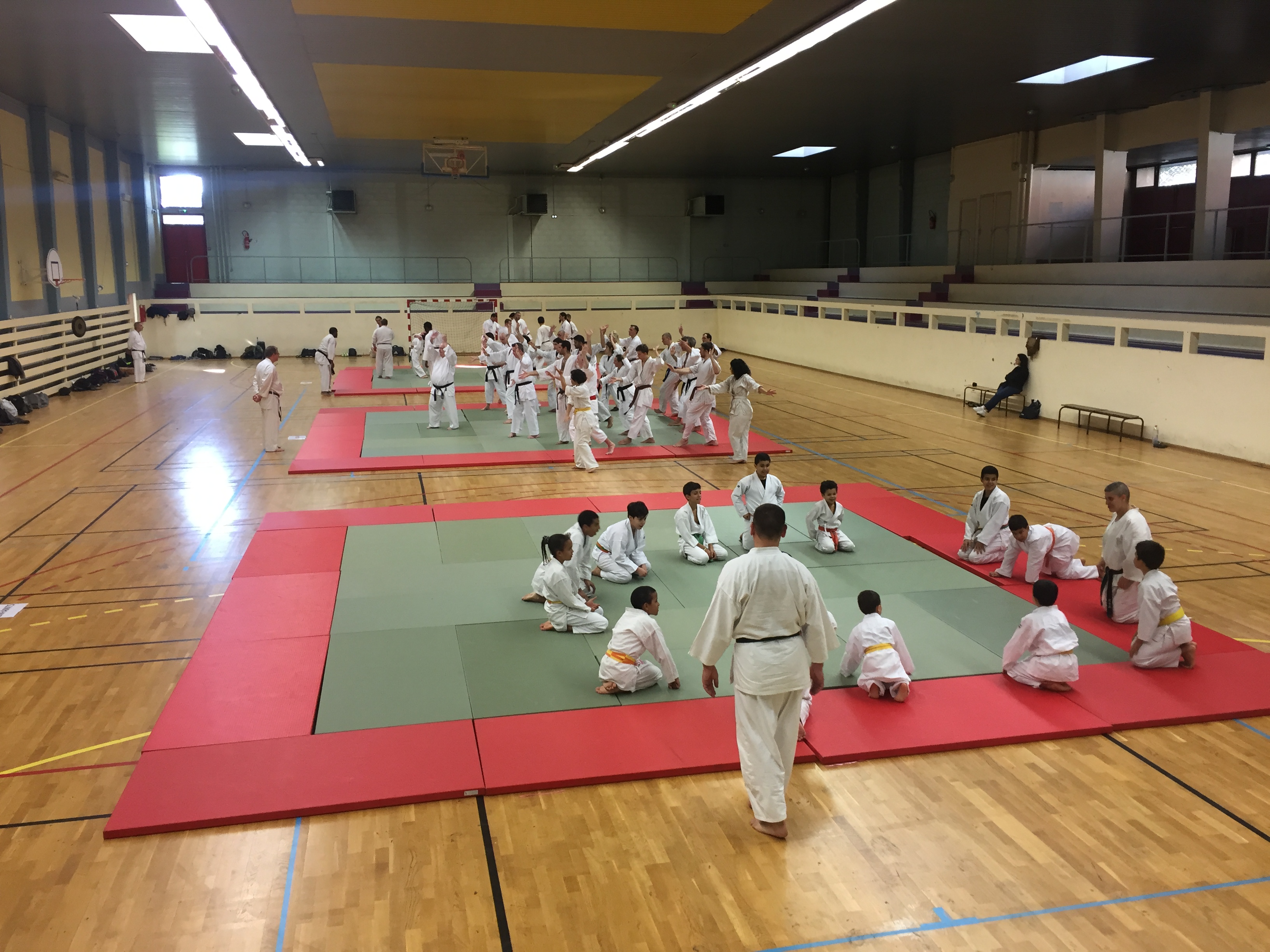 SIM PARIS 2018 (72)