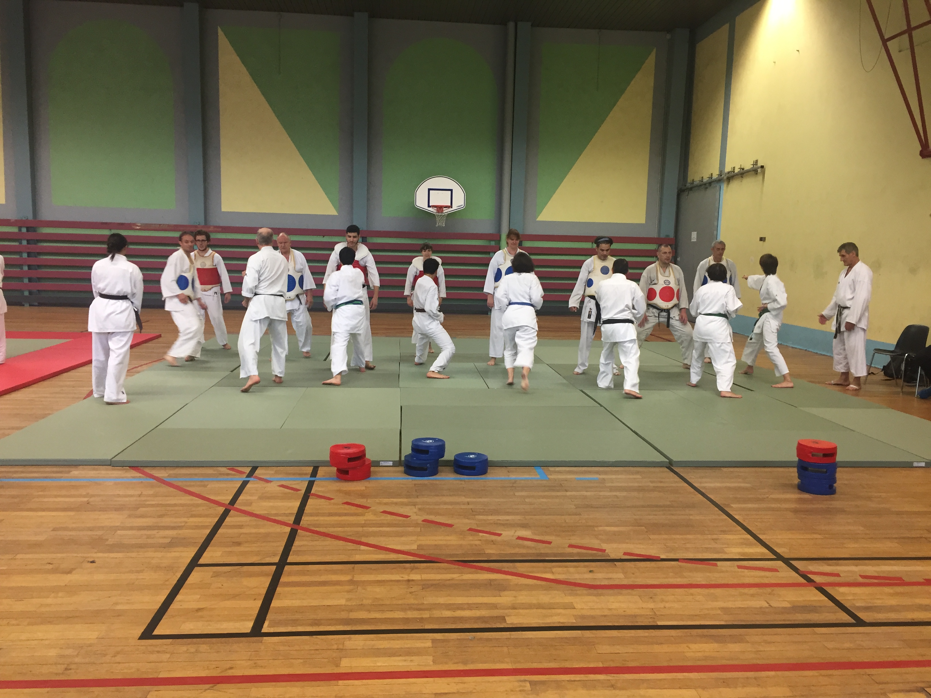 SIM PARIS 2018 (161)