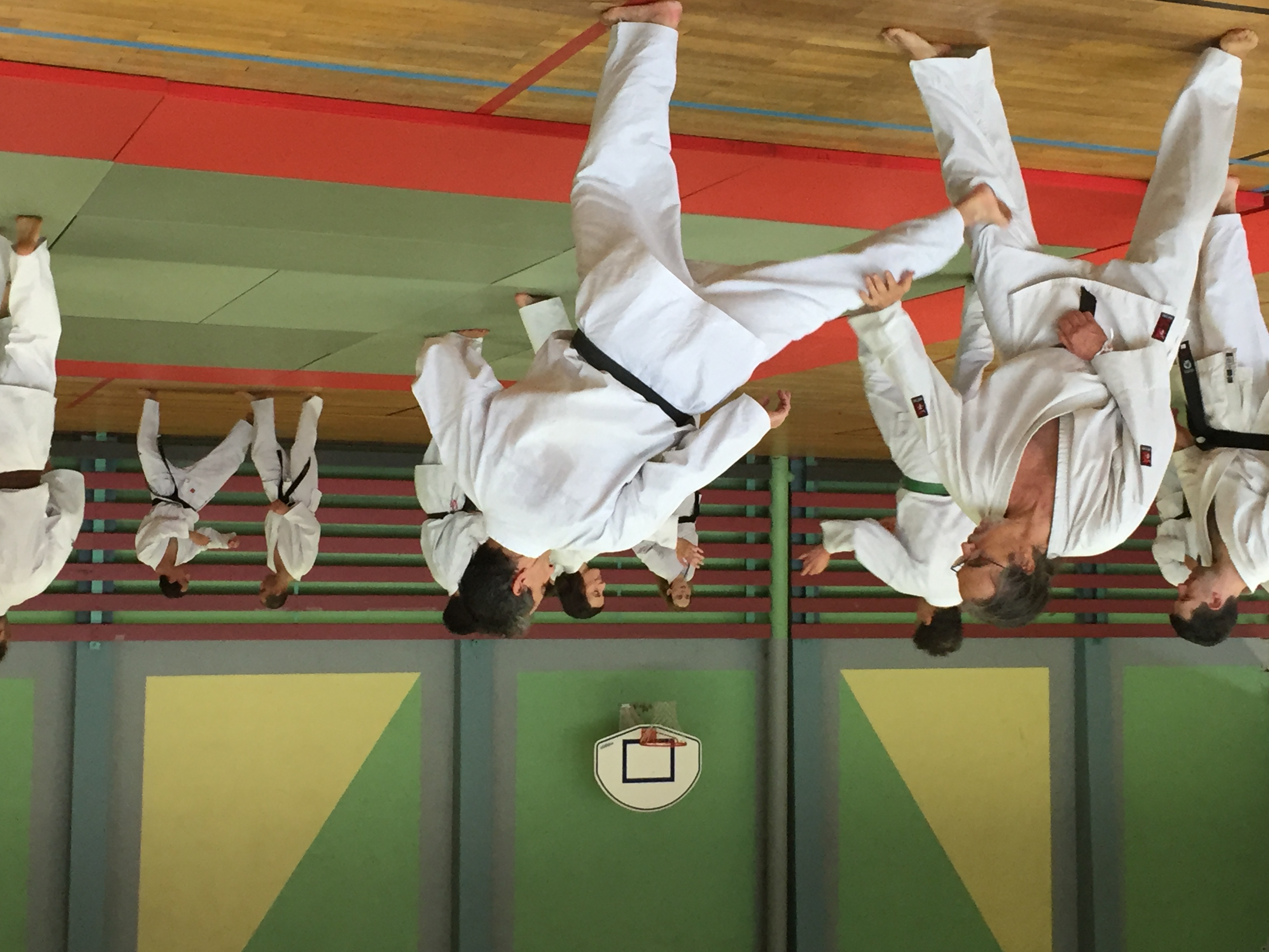 SIM PARIS 2018 (133)
