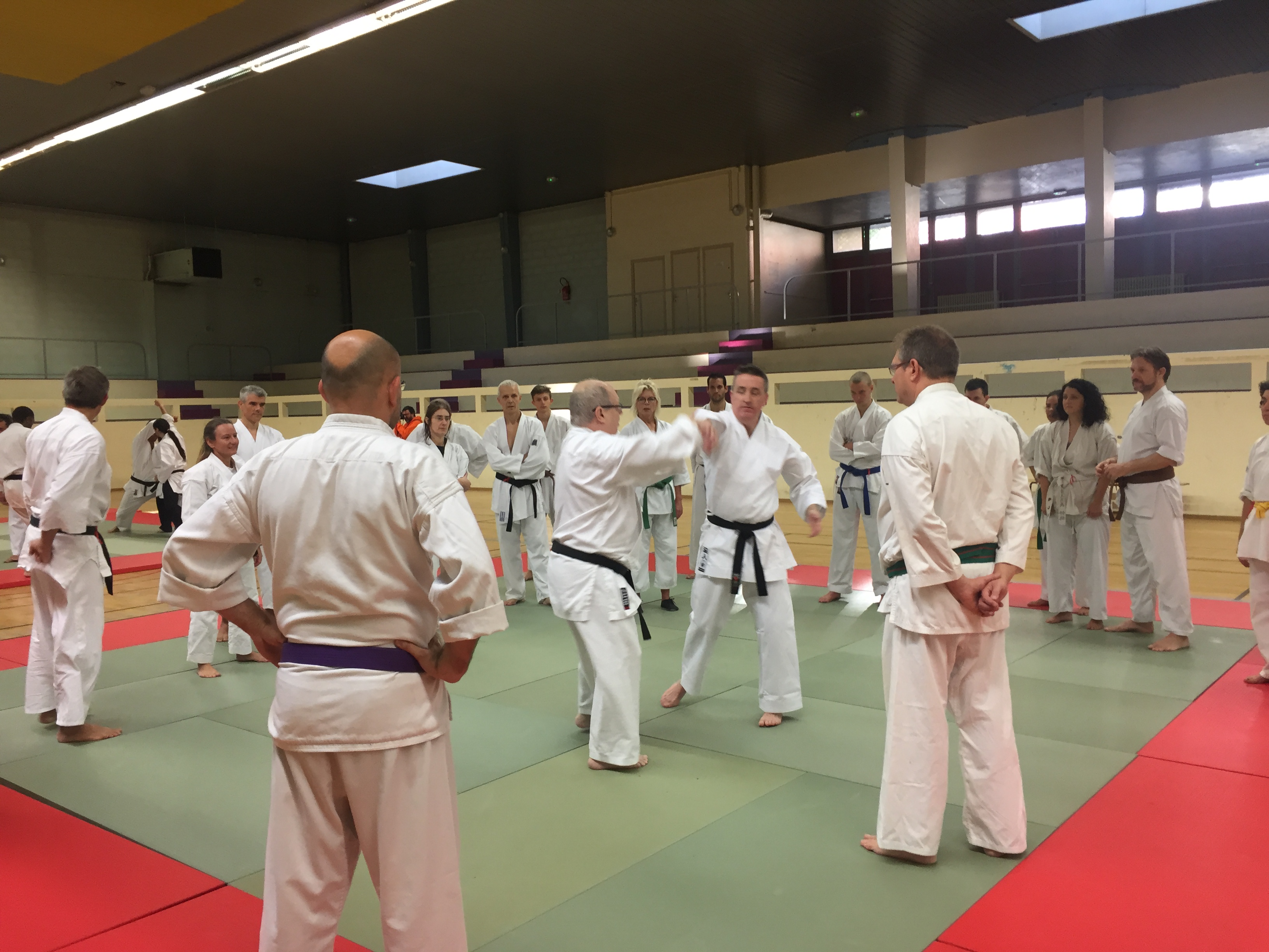 SIM PARIS 2018 (51)