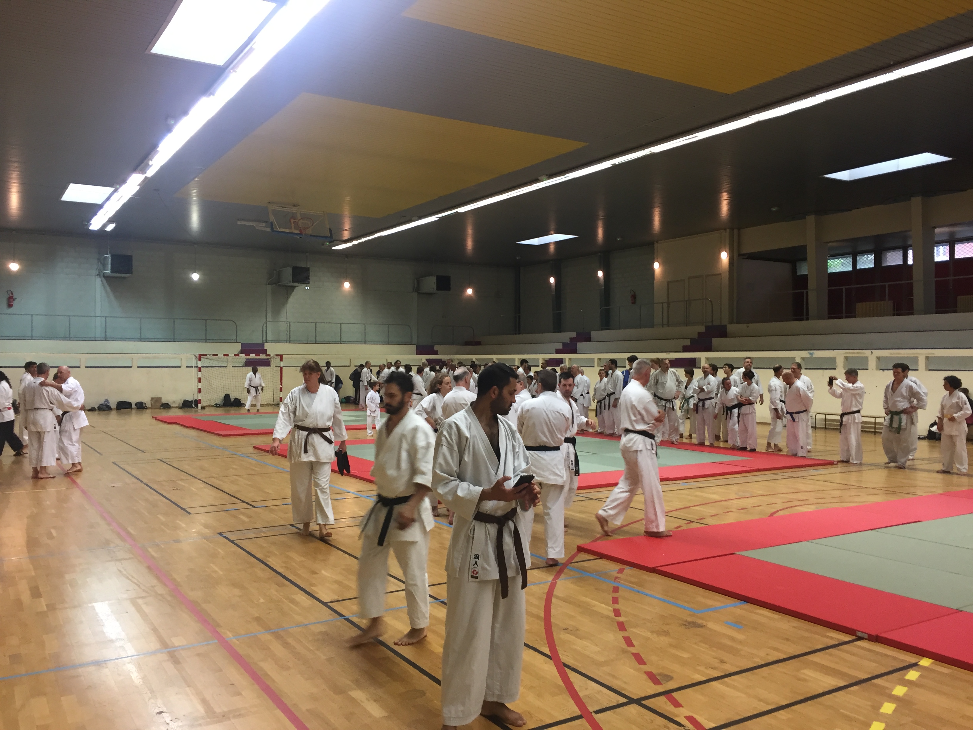 SIM PARIS 2018 (169)