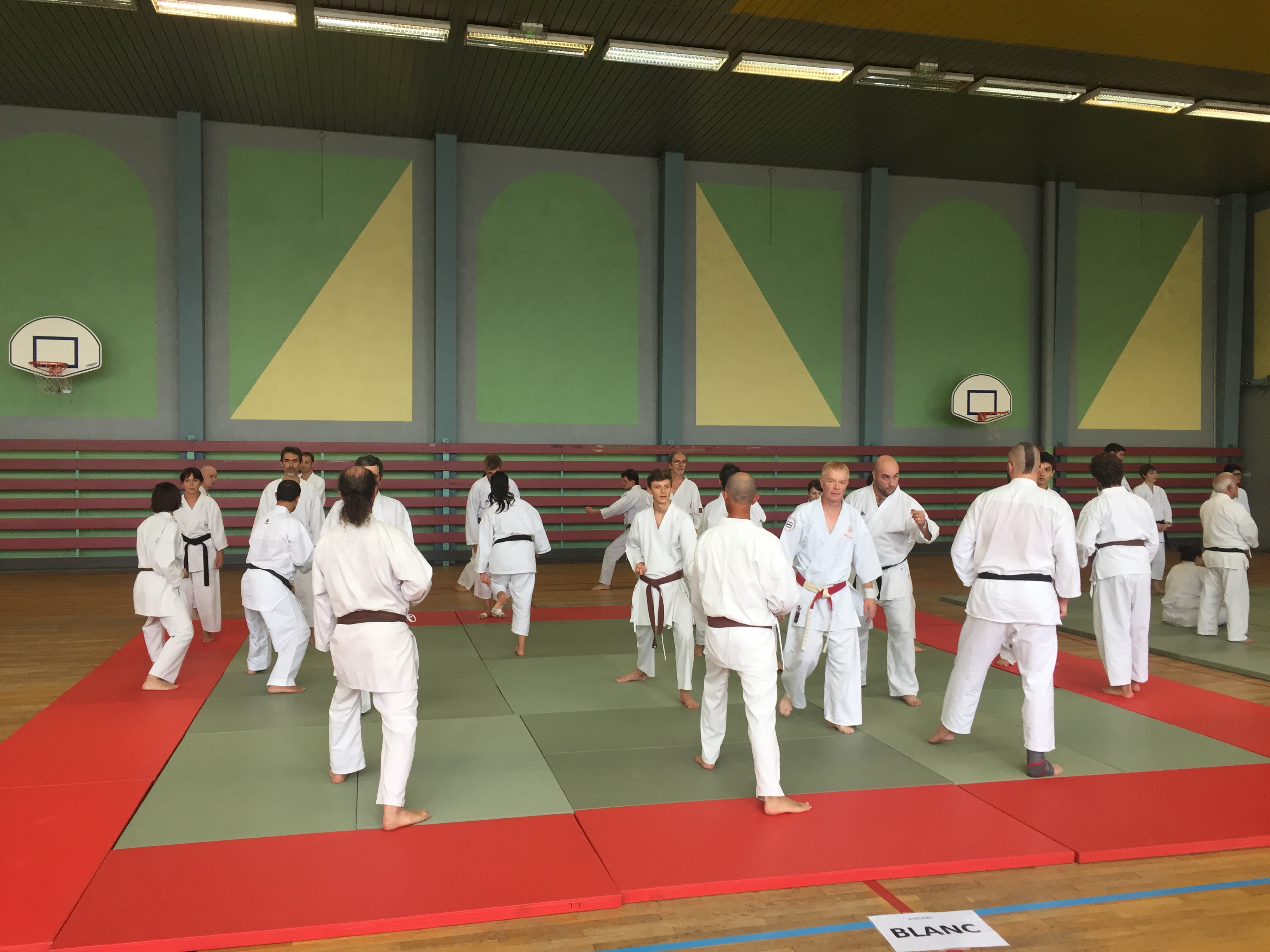 SIM PARIS 2018 (100)