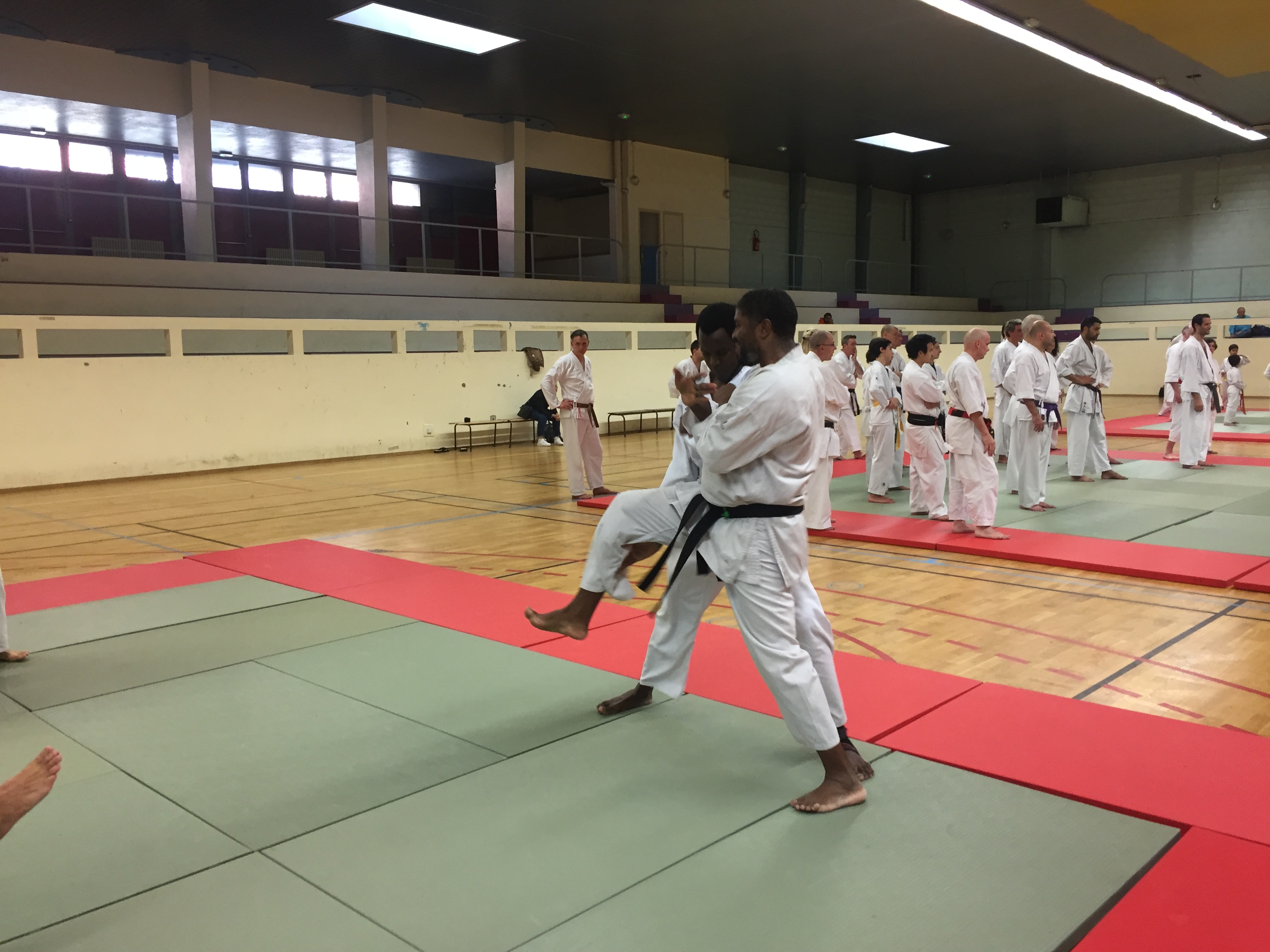 SIM PARIS 2018 (68)