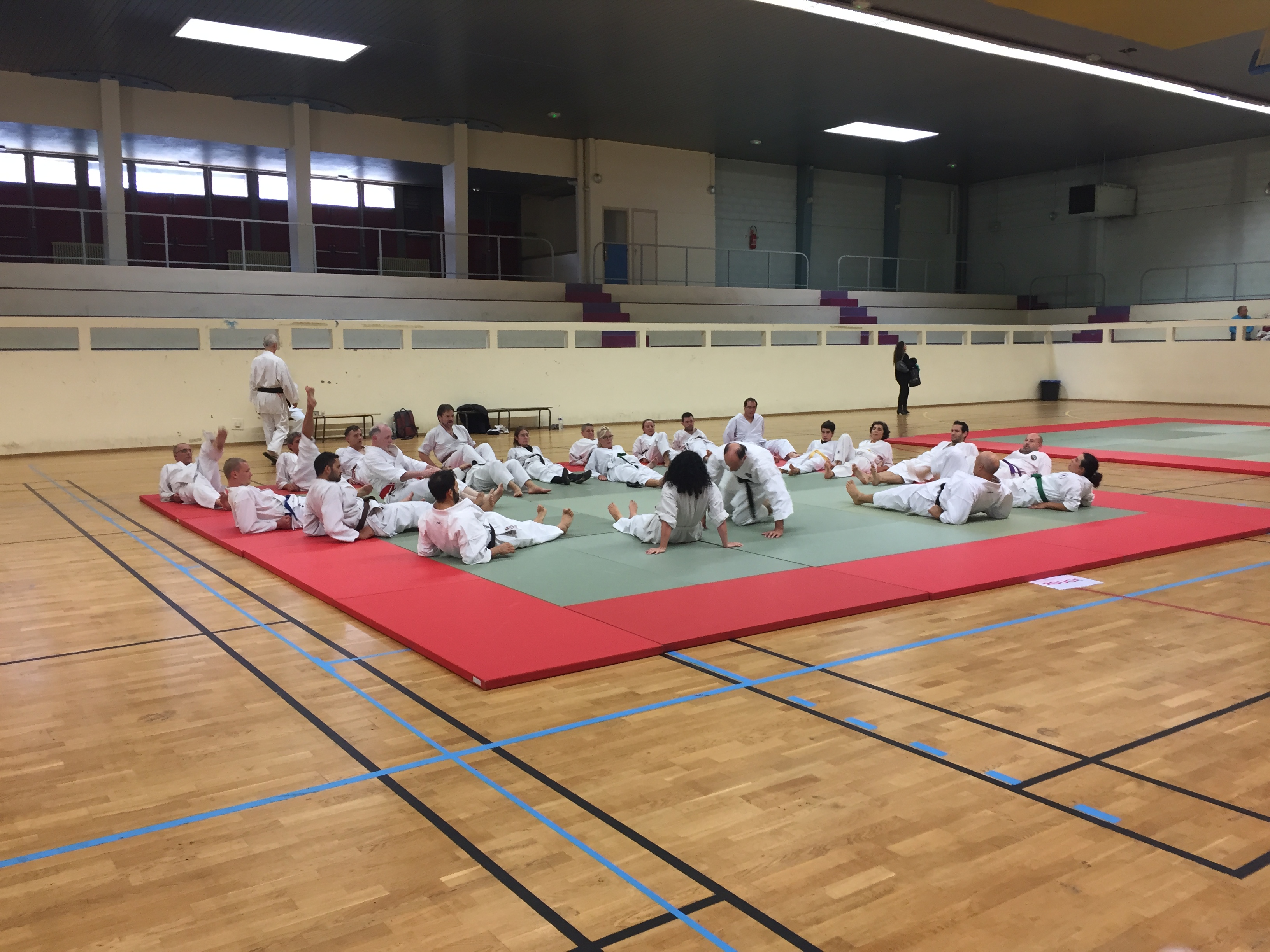 SIM PARIS 2018 (109)