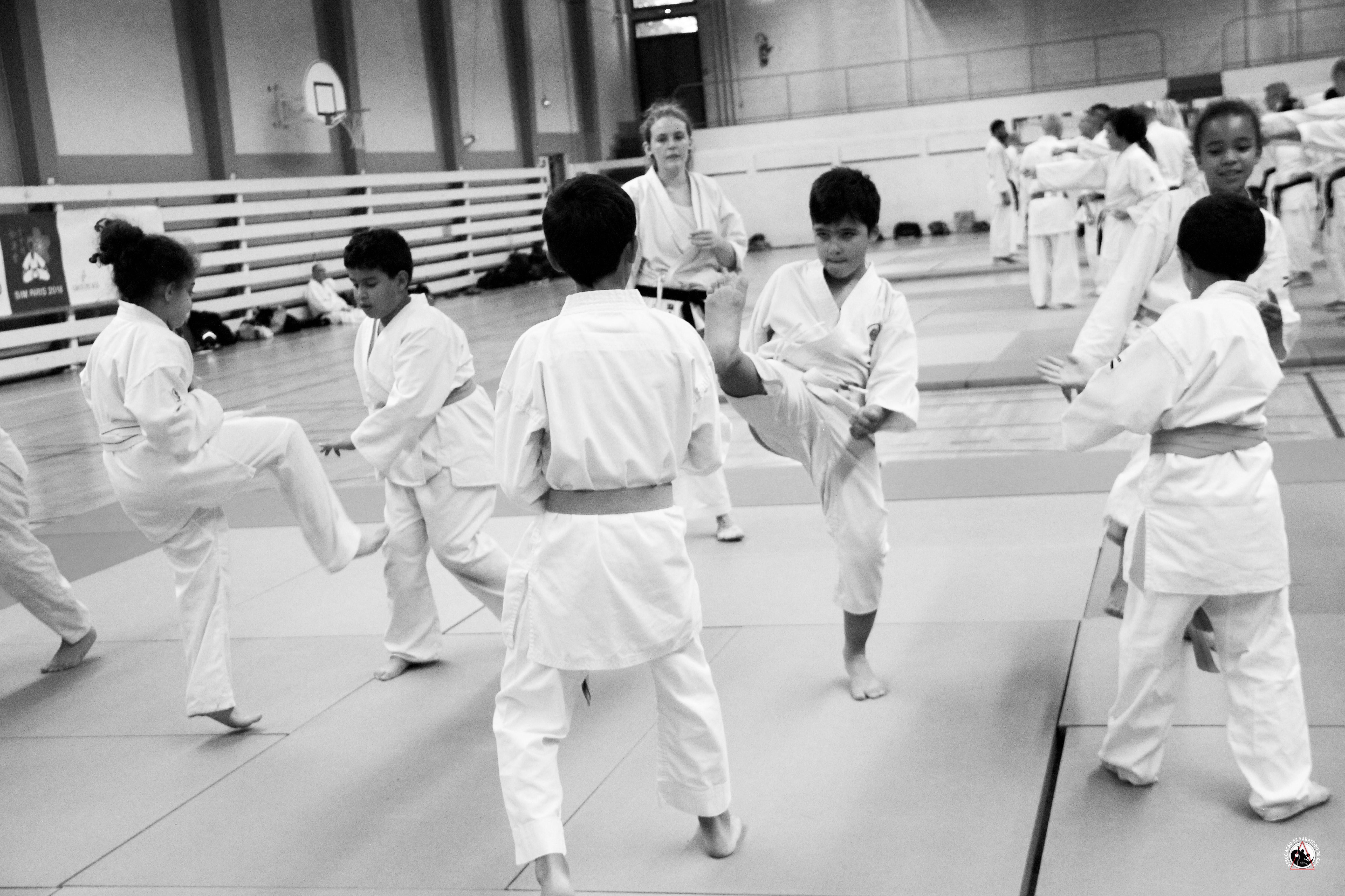SIM PARIS 2018 (79)