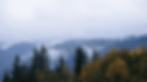 Adobe Express - z_Upload-Image---Internal-Only-Style-4f56c1b8 (1) (1).gif